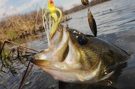 Kayak Angler Lands Two Bass on Same Cast Using a Bird Lure - Wide Open  Spaces
