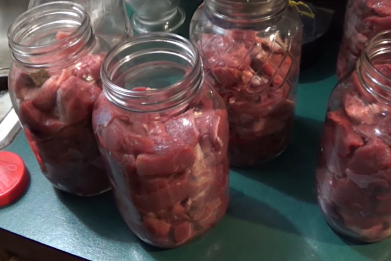 How to Catch, Clean and Cook Bullfrogs for Delicious Frog Legs Wide