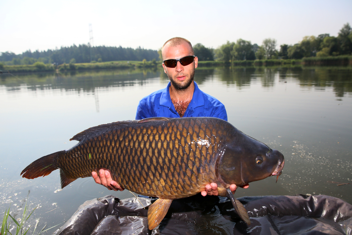 Carp Fishing