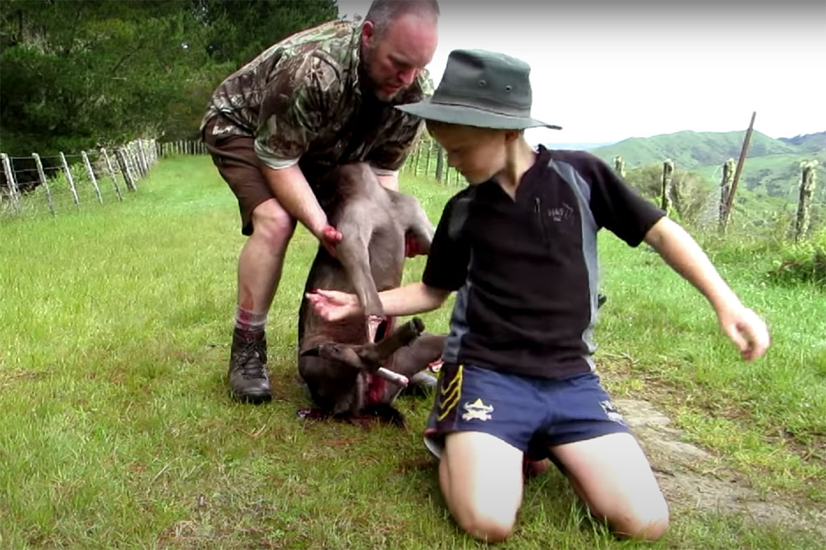 Deer backpack 2025