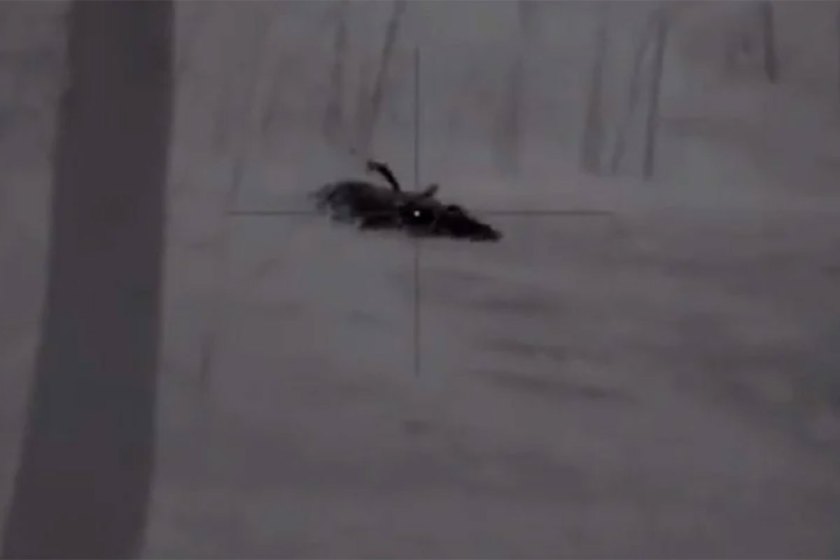 How to Quickly Field Dress Your Wild Hog Wide Open Spaces