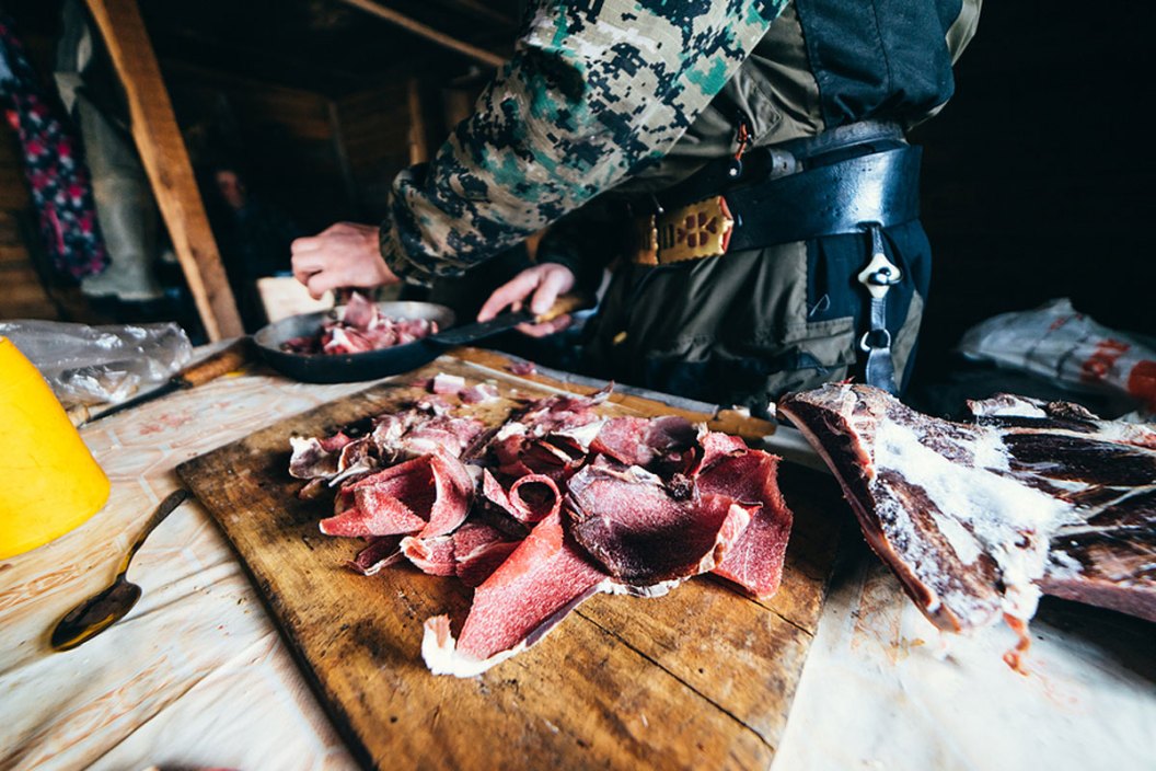 venison