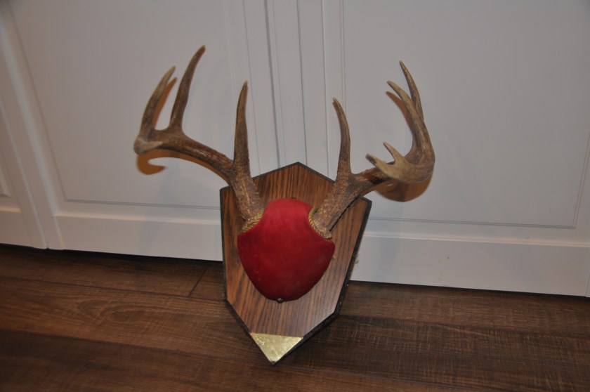 Deer Taxidermy Options