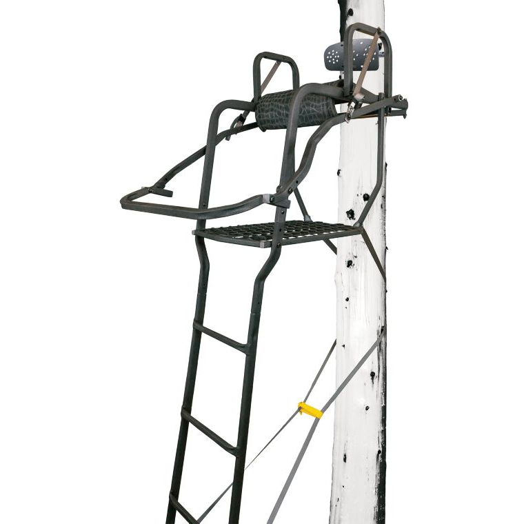Hawk Bad Boy™ Ladder-Stand Combo