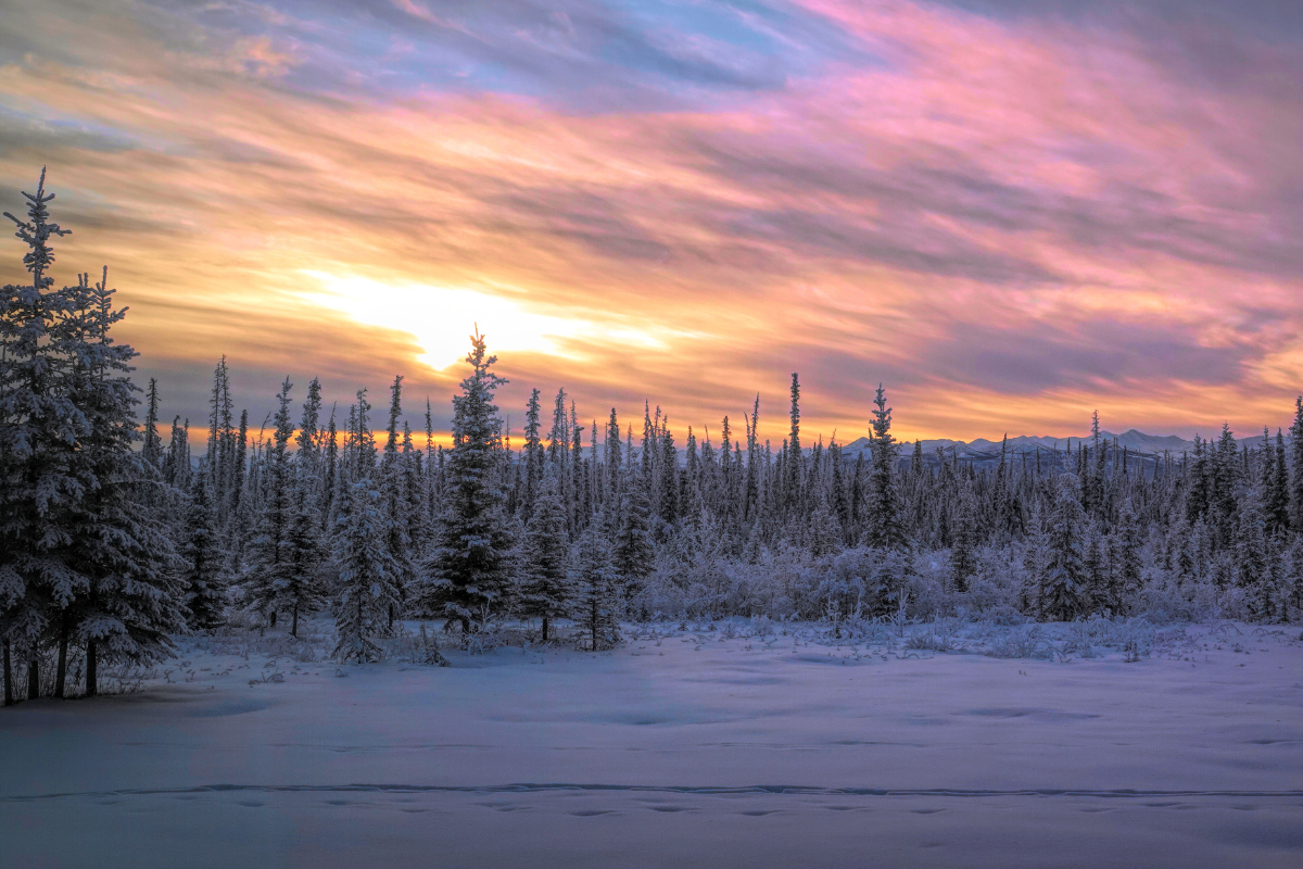 winter solstice outdoors