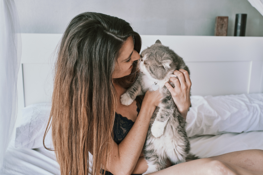 cat snuggles with owner