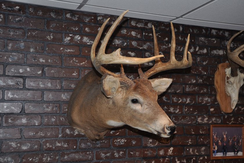 How to Process Your Own Deer the Easy Way Wide Open Spaces