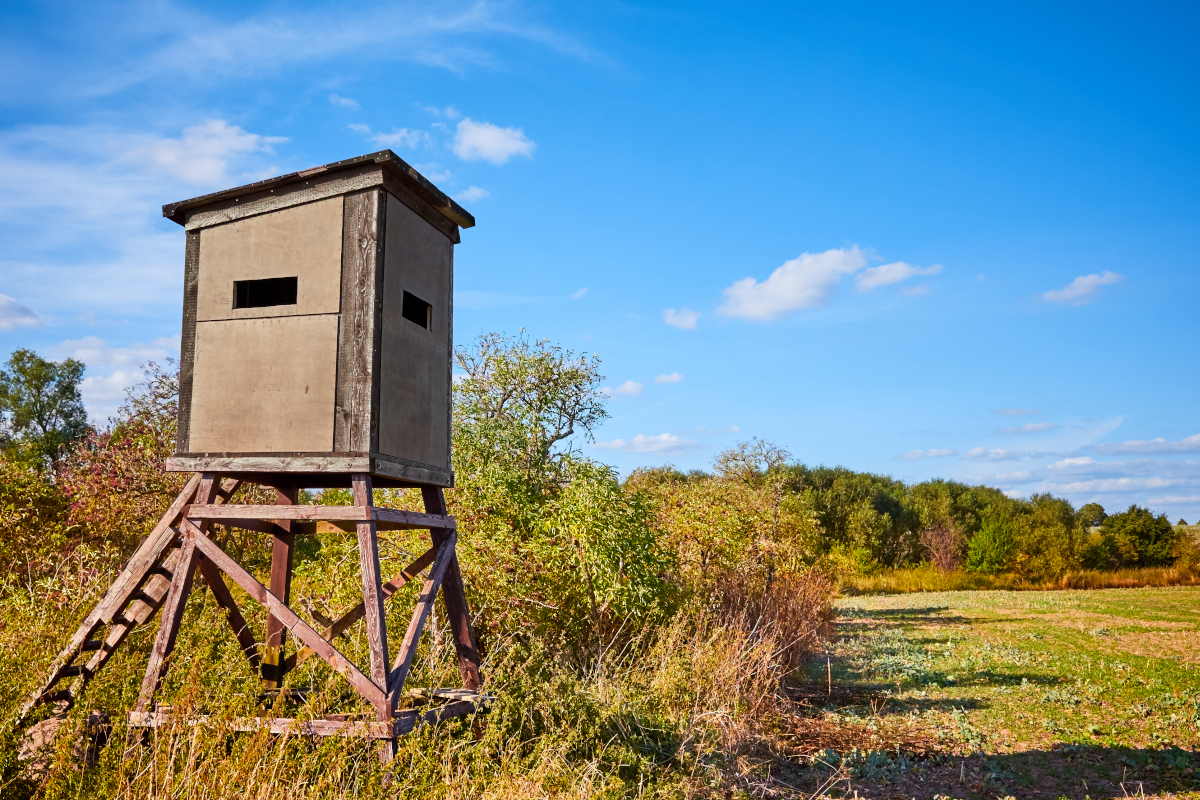 Hunting Safety