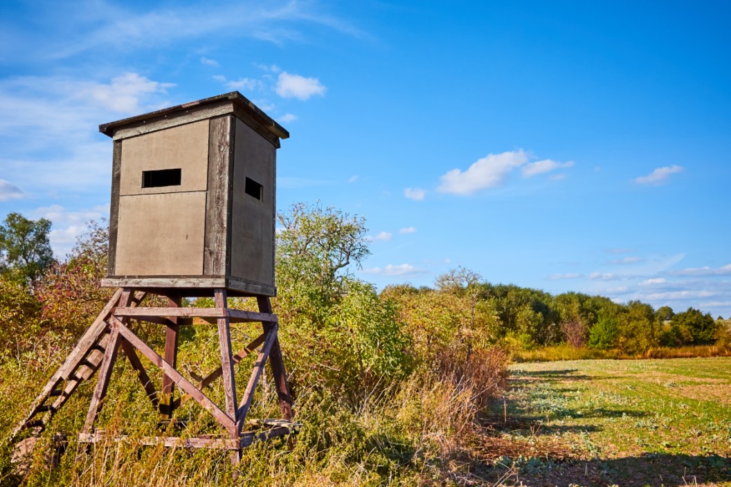 Hunting Safety