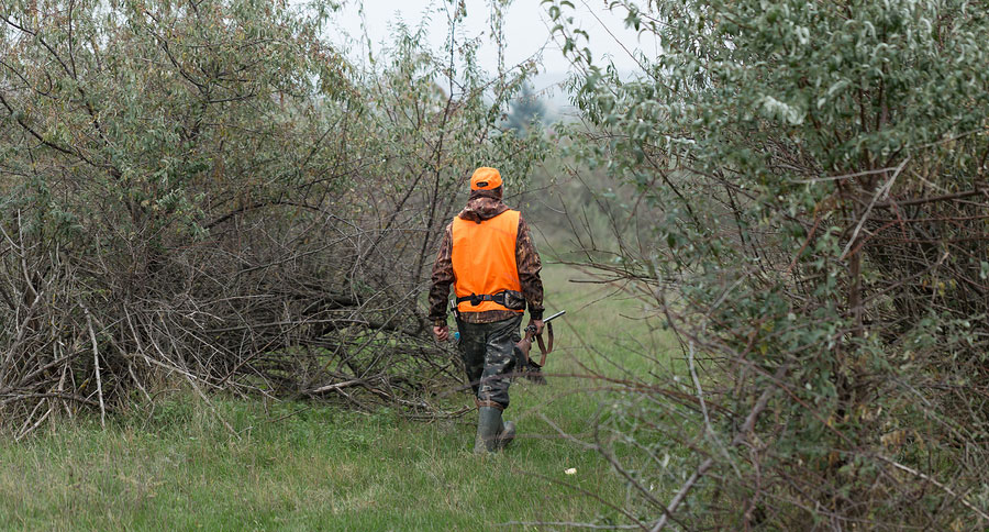 brother sabotages hunt