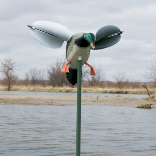 waterfowl confidence decoys