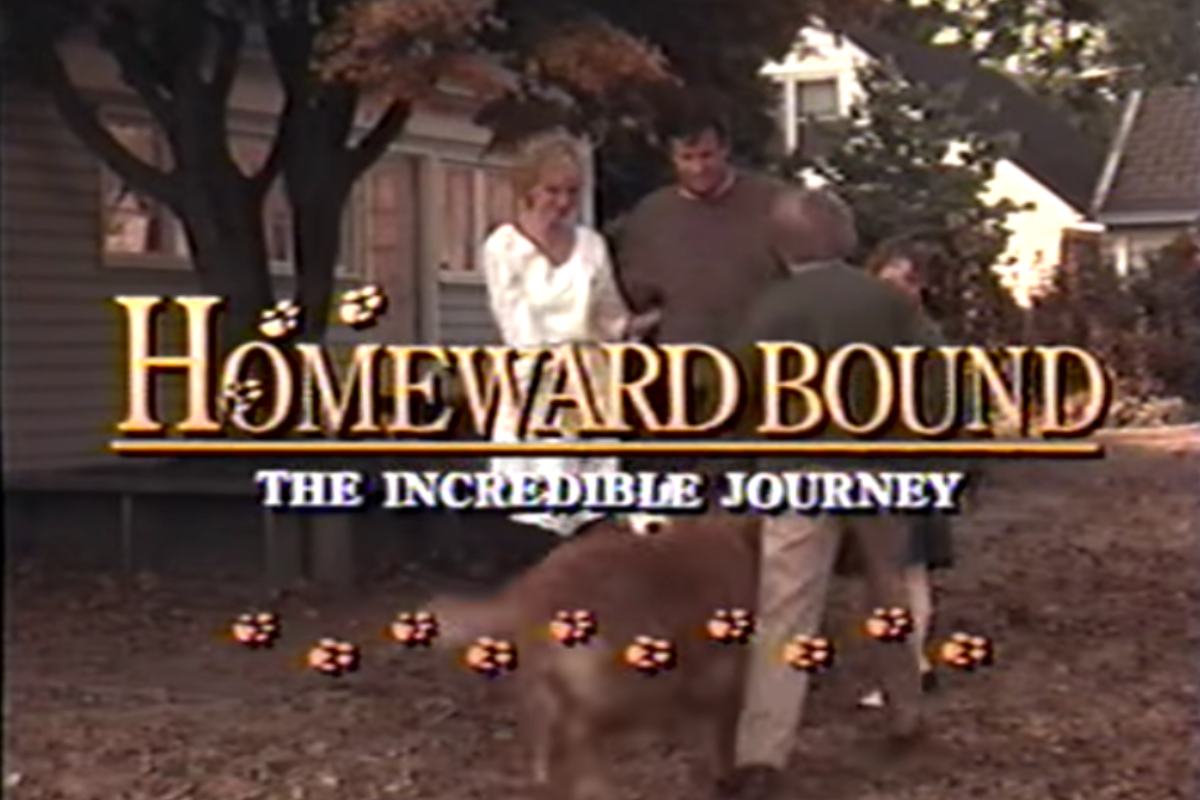 homeward bound the incredible journey animal abuse