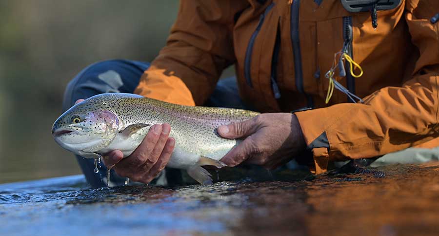 Wyoming Ultimate Angler