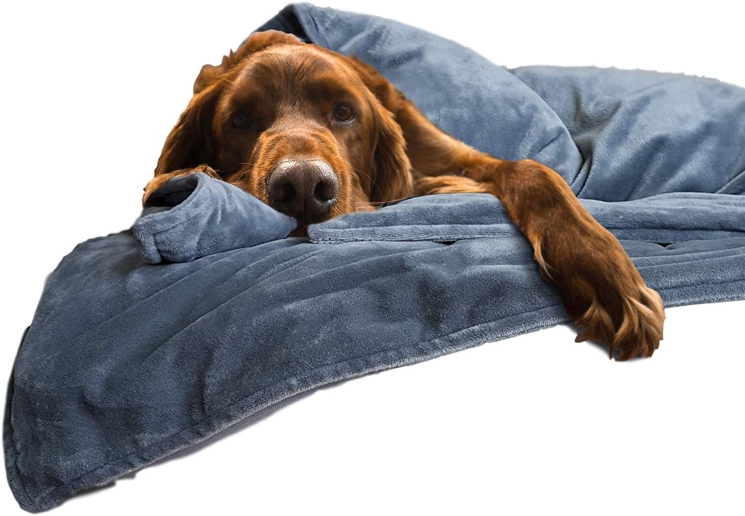 Canine Coddler The Original Dog Anti-Anxiety Blanket Wrap for Stress Relief and Calming with Premium Washable Cover Great for Separation Anxiety Bark Control