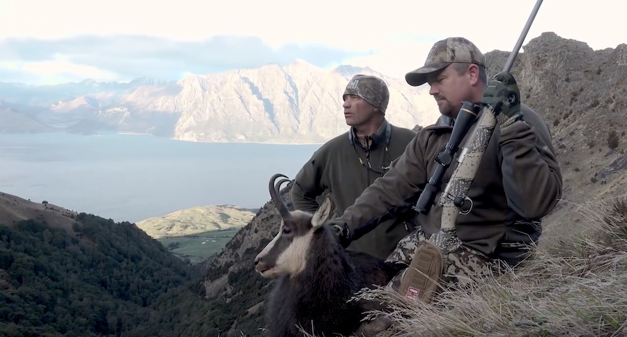 Chamois Hunting In New Zealand With A 6.5 PRC