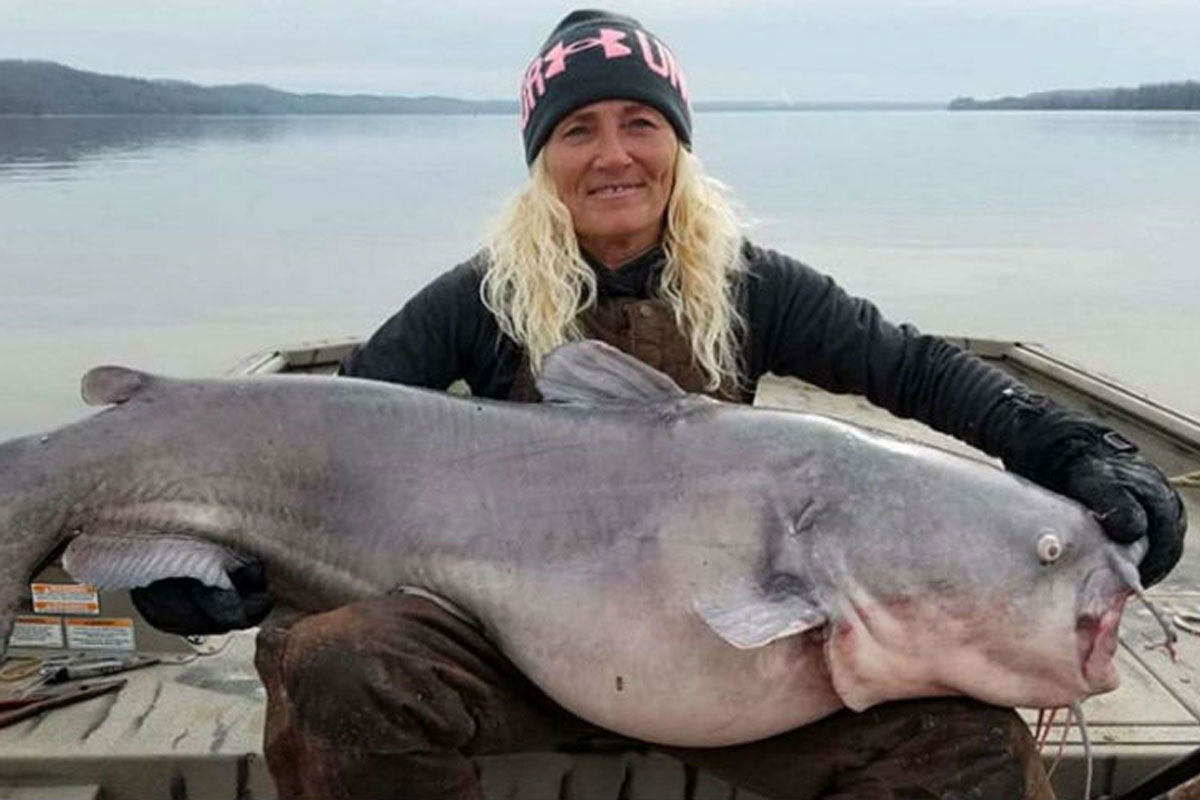 catfish