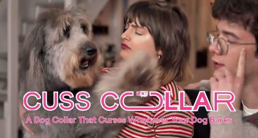 Cusscollar cheap