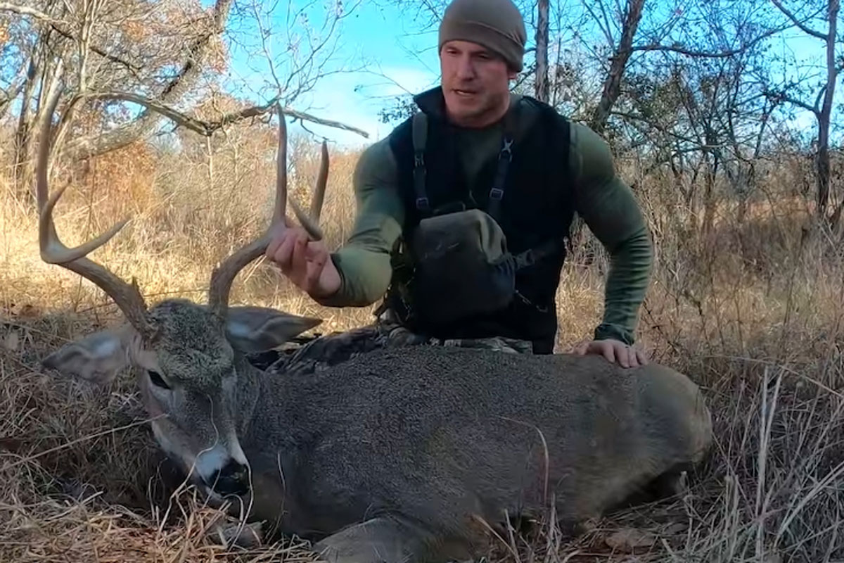 deer abcess