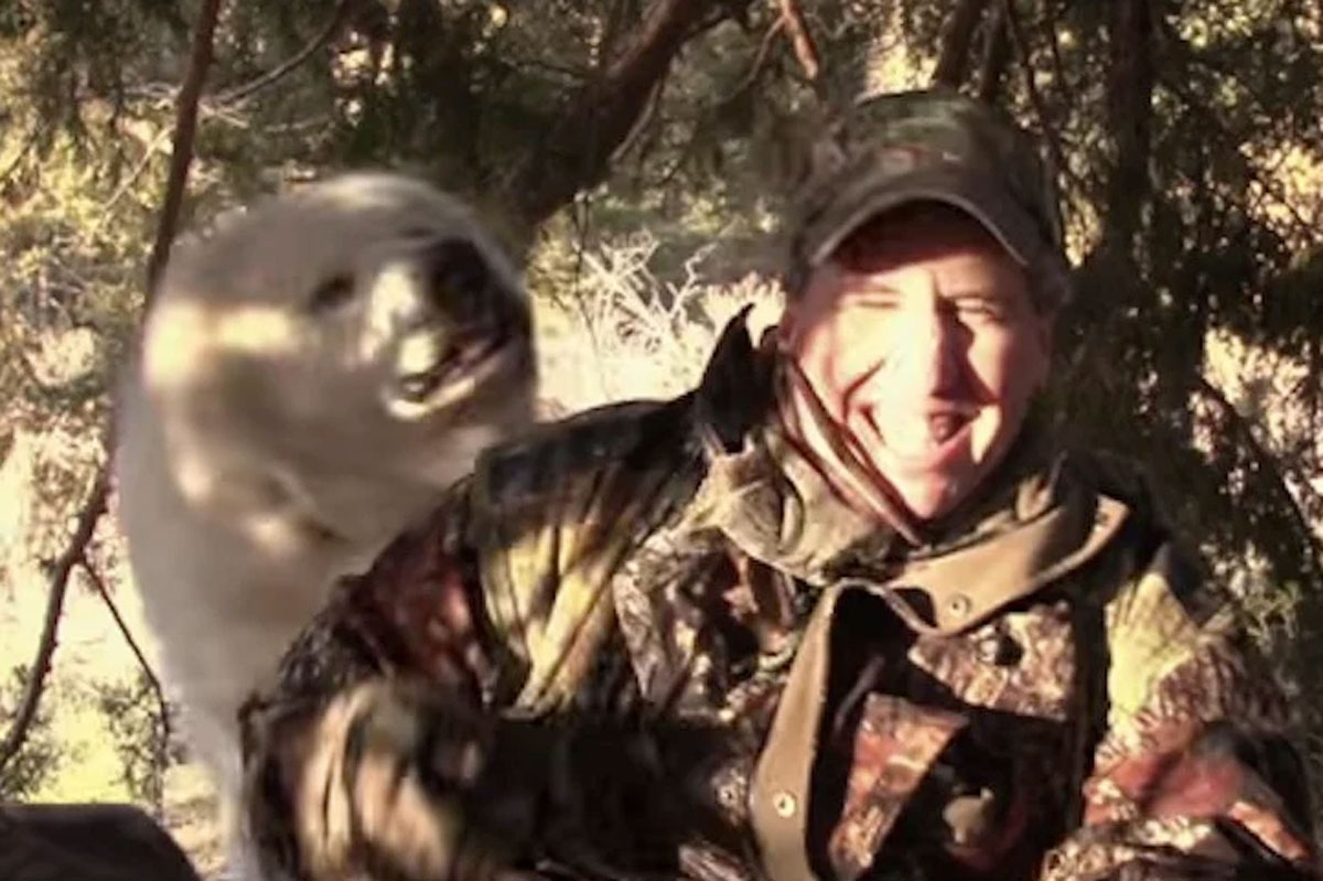 dog interrupts turkey hunt