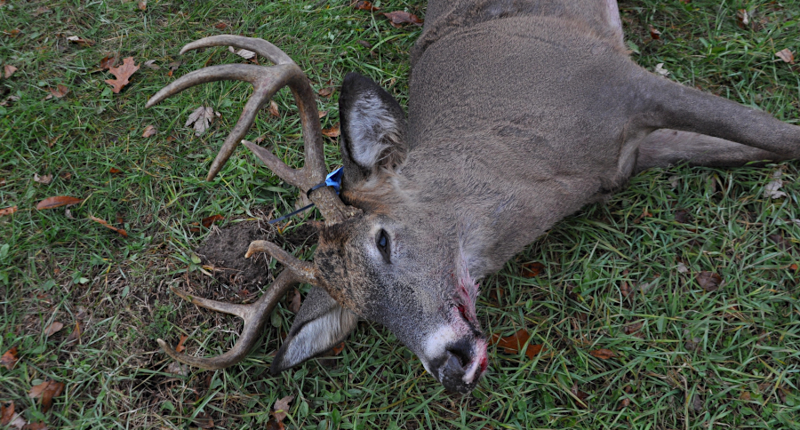 Michigan Deer Processor