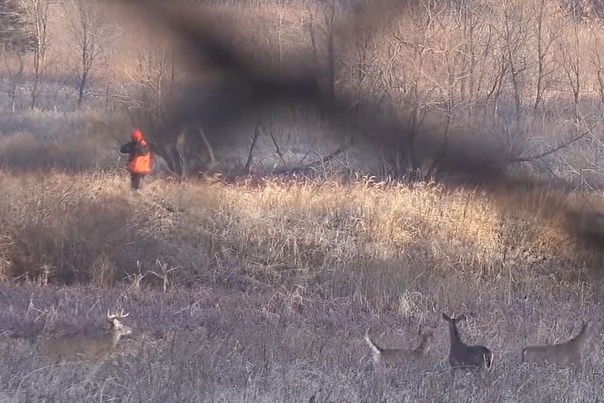 dumb hunter