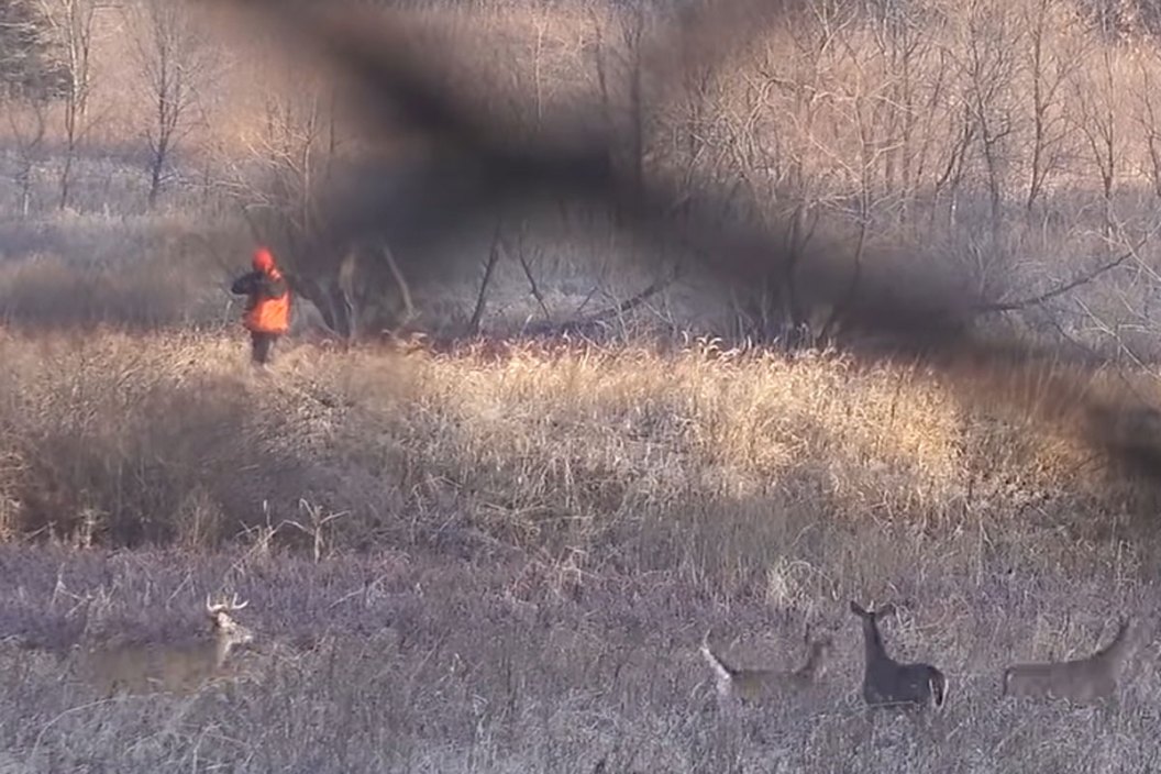 dumb hunter