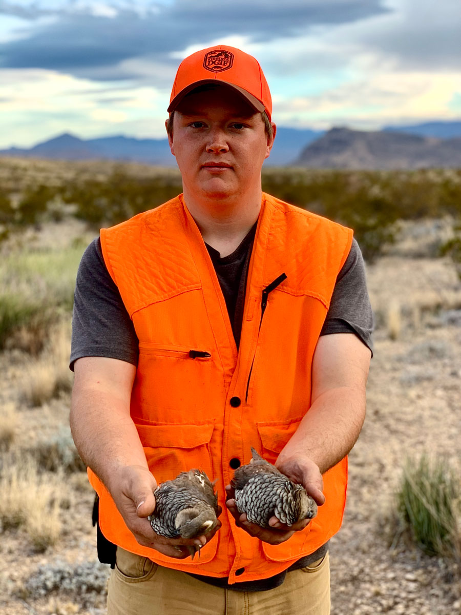 scaled quail