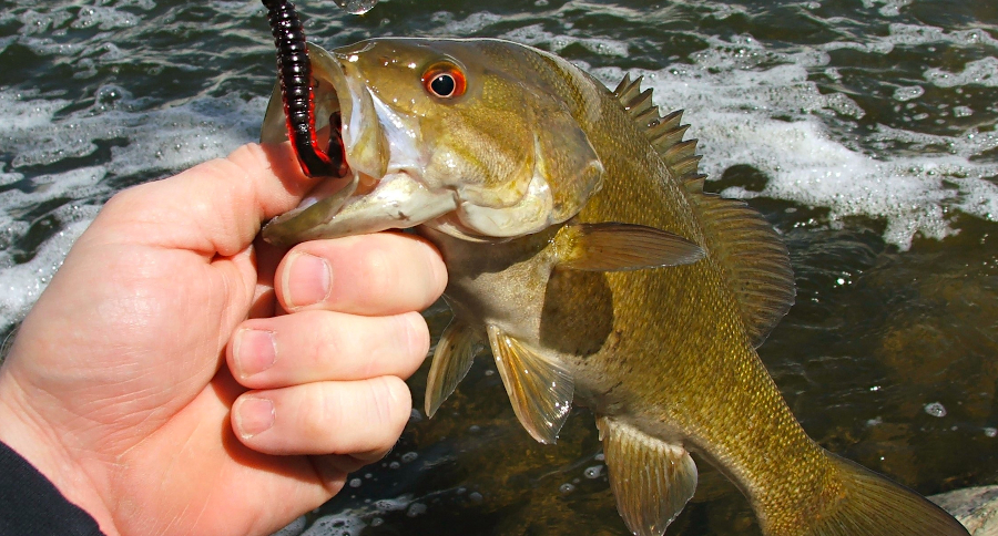 Winter Bass Fishing