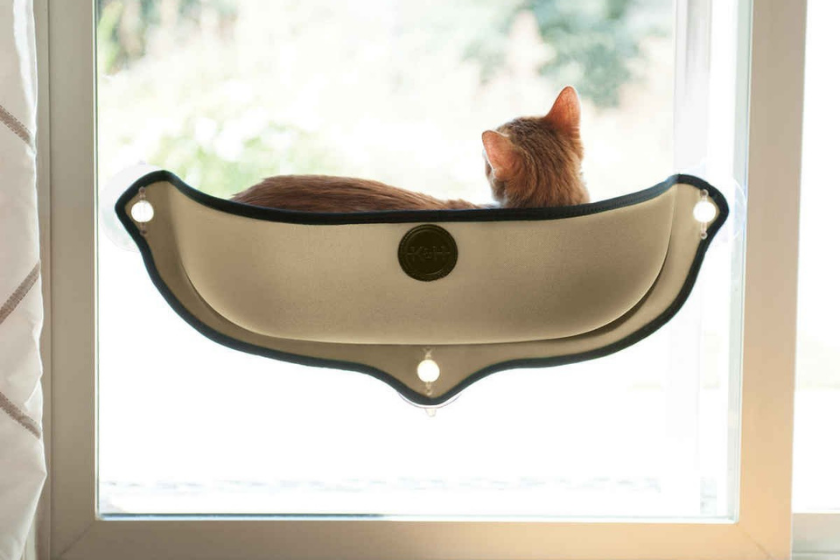 best cat beds