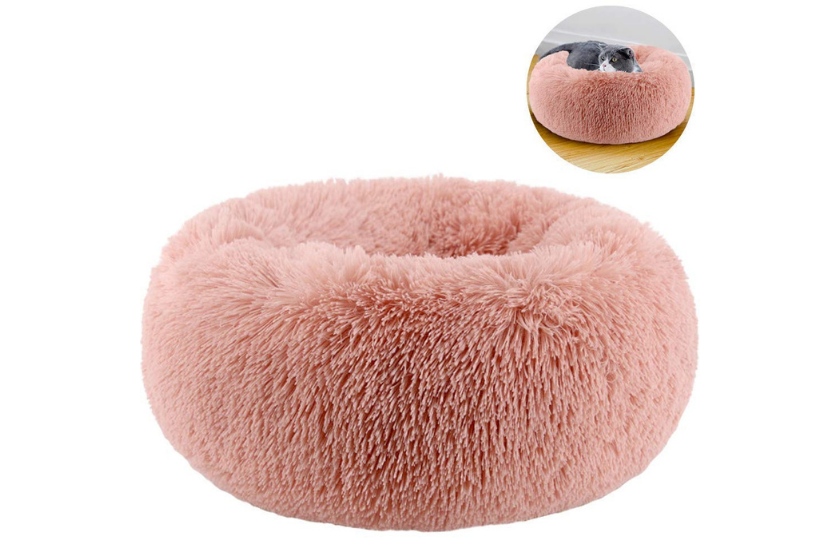 best cat beds