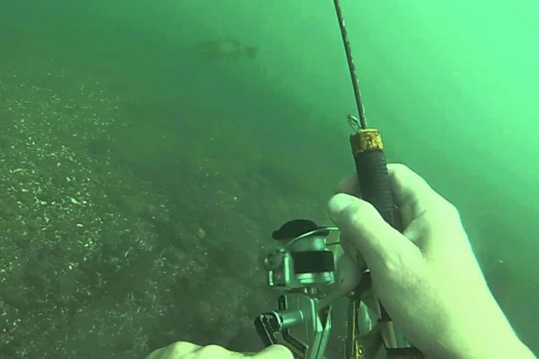 underwater fishing