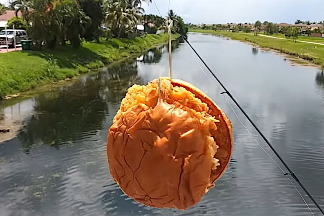 Fishing with Fast Food