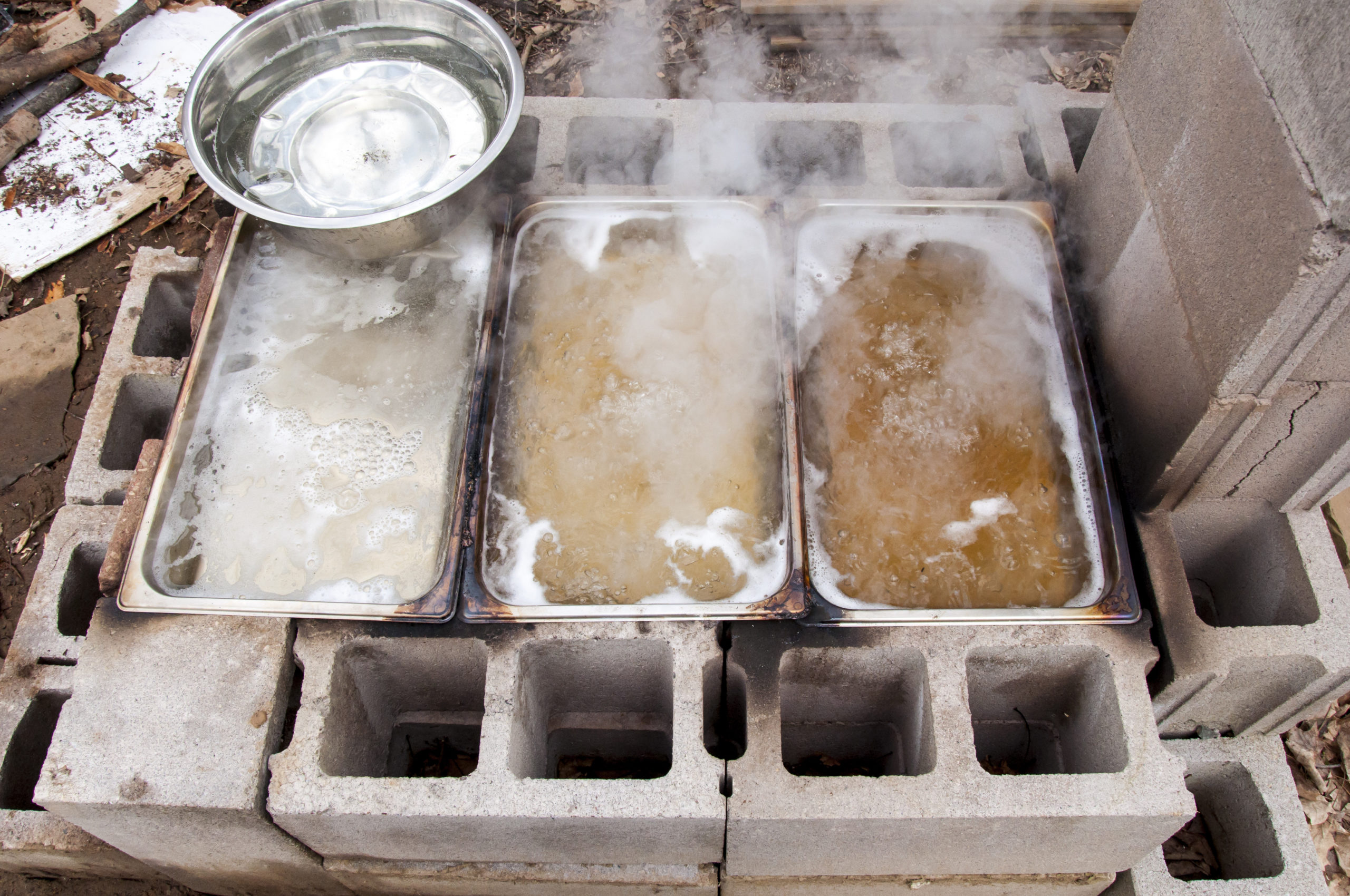 How to Make Maple Syrup