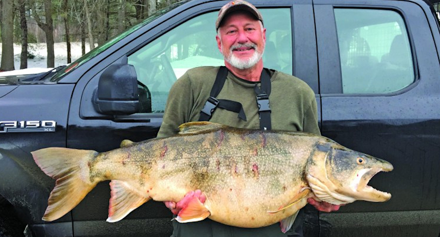 New Hampshire State Record Lake Trout