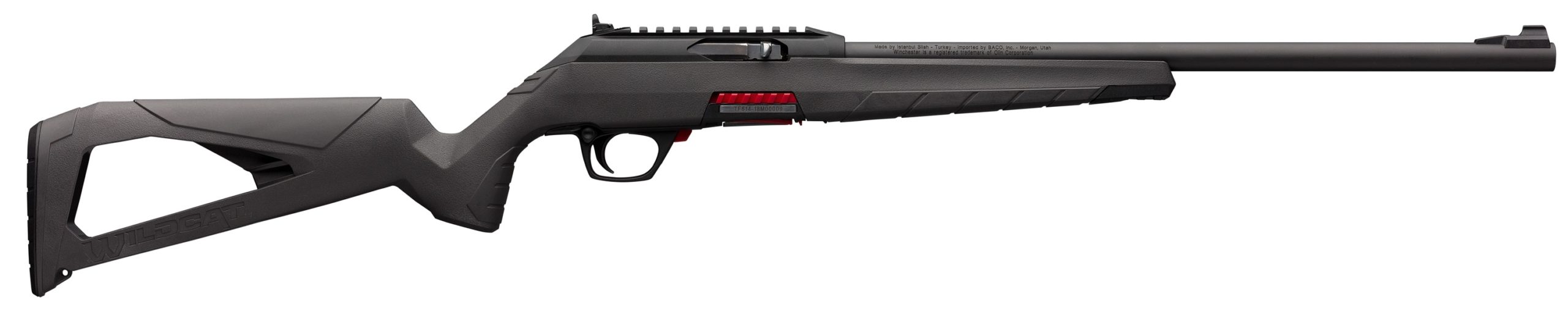 9 Best .22 Rifles for Plinking and Hunting in 2022
