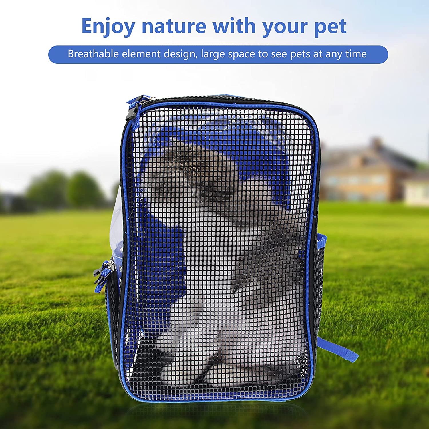 ICEXIXI Portable Collapsible Transparent Pet Backpack - Waterproof Cat Backpack Ventilated Design Scratch Resistant Pet Backpack Carrier Comfortable Breathable Suitable for Traveling Hiking