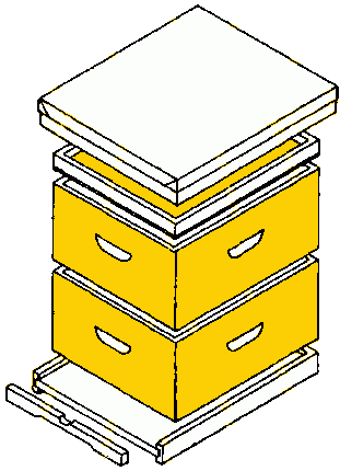 Beehive Construction