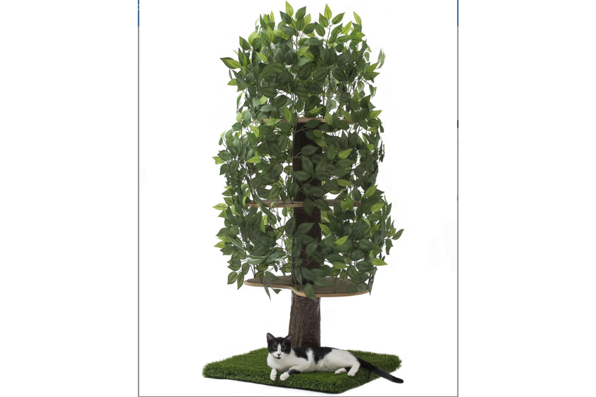 awesome cat trees