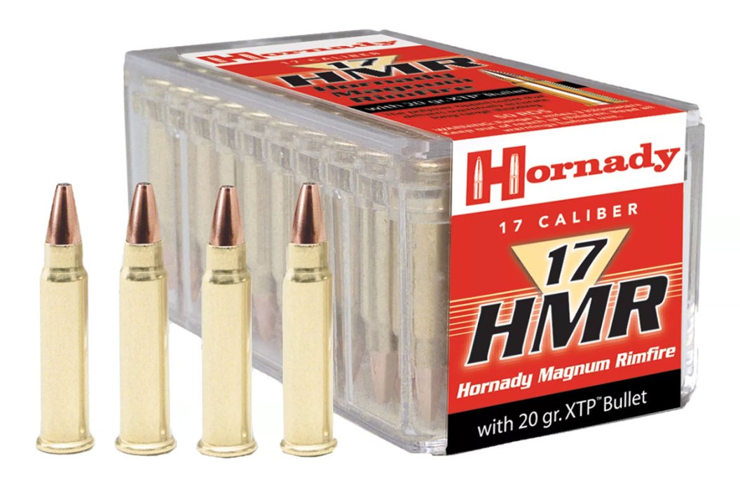 The .17 HMR Rifle Cartridge: All the Details You Ought to Know - Wide ...