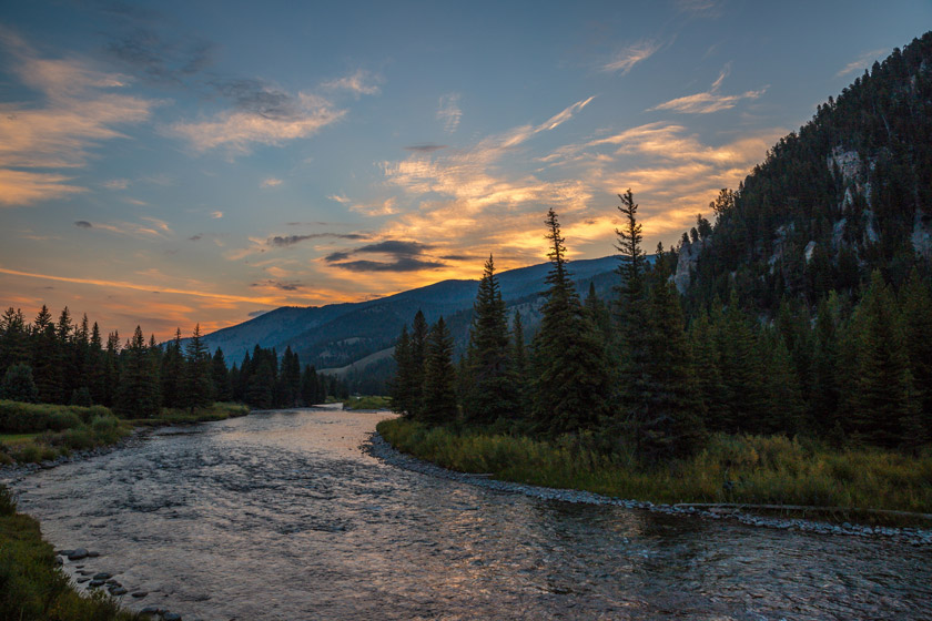 best trout streams