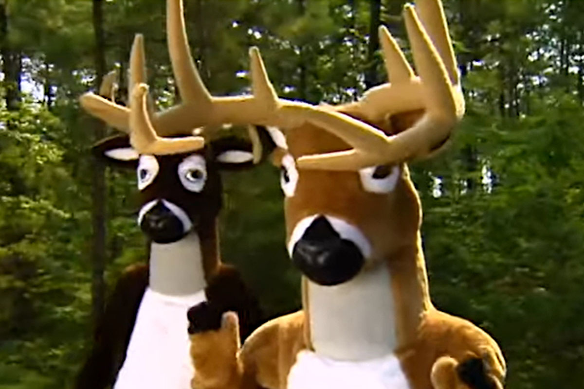 deer
