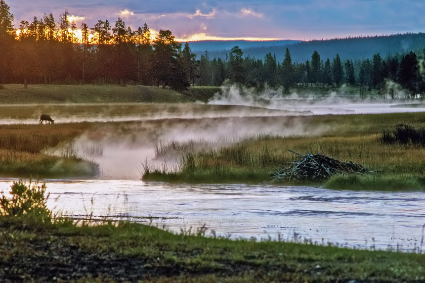 best trout streams