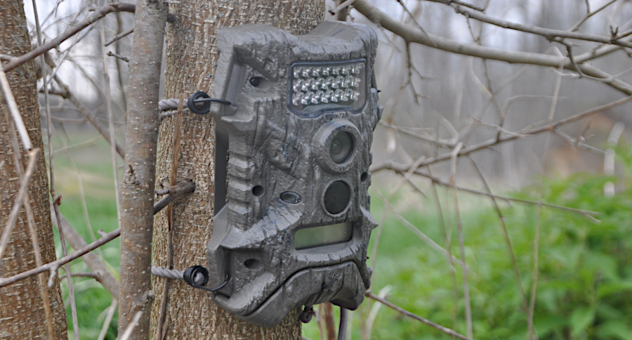 Trail Cameras