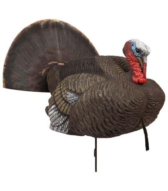 Best Turkey Decoys: 12 Options That Will Draw in a Gobbler This Spring