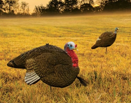 Turkey Decoys