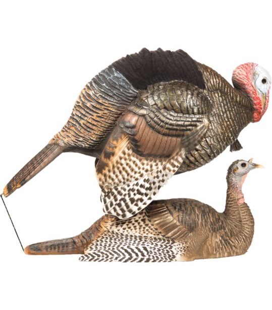 Turkey Decoys