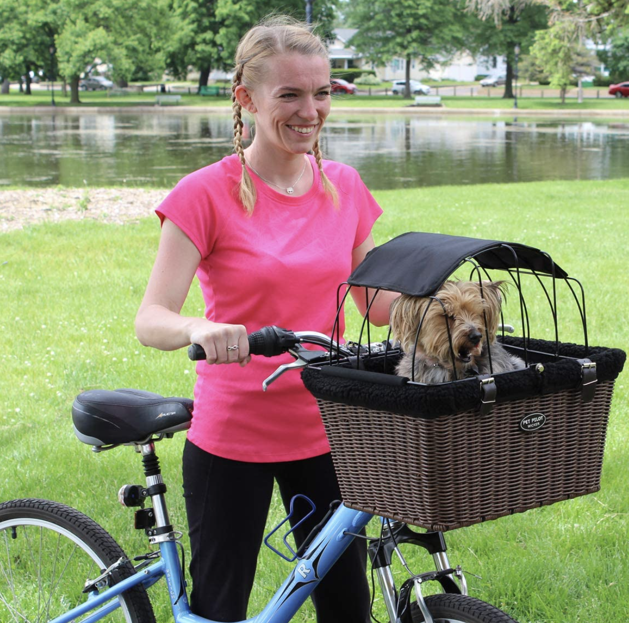 bike basket for dog