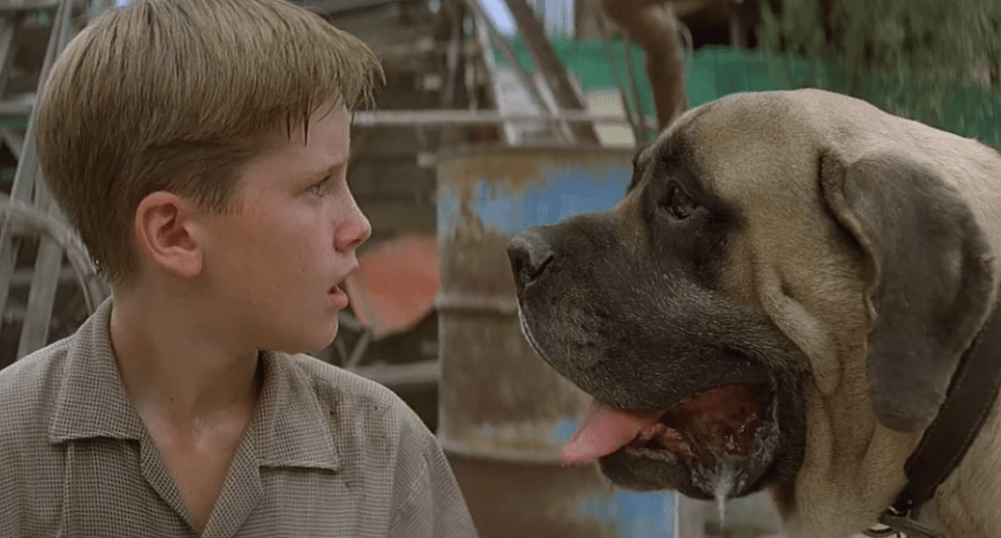 What kind of dog is online on sandlot