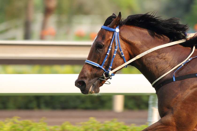 running fast at derby