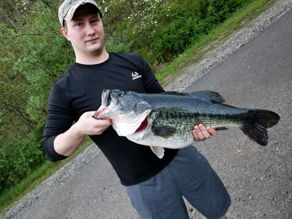 Giant 14-Pound Largemouth Bass Breaks 36 Year-Old Kentucky State Record -  Wide Open Spaces